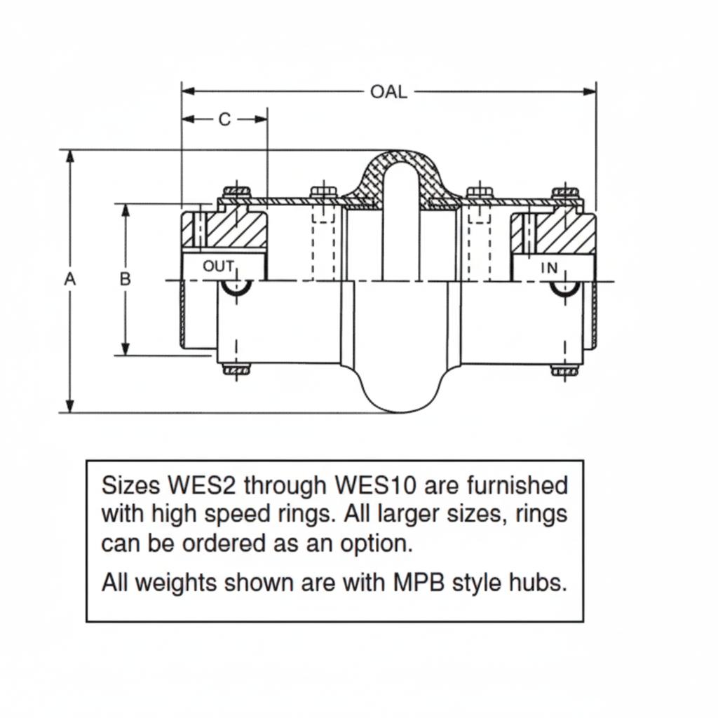 WhatsApp Image 2025-11-05 at 8.24.53 PM